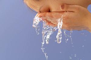 通信販売で購入できる高麗人参とは